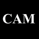 Creative Artists Management (CAM)