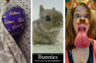 Get Social: 9 of the sweetest Easter tweet treats from #StageFaves