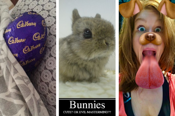 get-social-9-of-the-sweetest-easter-tweet-treats-from-stagefaves