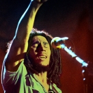 Get Up, Stand Up! The Bob Marley Story